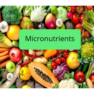 micronutrients_are_best_ways_to_boost_immunie_syatem.jpg