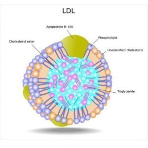 How to Reduce Elevated LDL Cholesterol