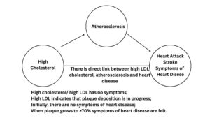 image showing relation of ldl,plaque formation and heart disease