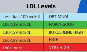 image-of-ldl-cholesterol-levels.png