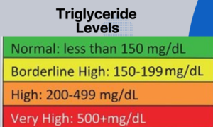 image-of-riglyceride-levels.png