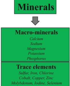 image of what are minerals and trace minerals