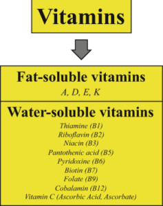 image of vitamins