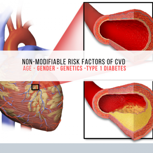 What Are Non-modifiable Risk Factors CVD And Heart Disease Risk.