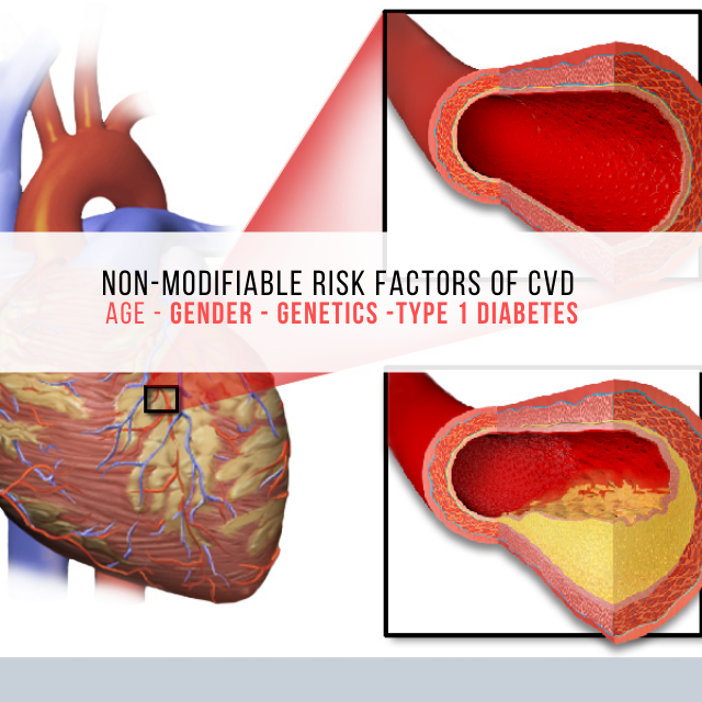Non-modifiable risk factors cvd image