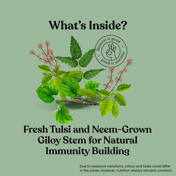 natural immunity building herbal ingredients
