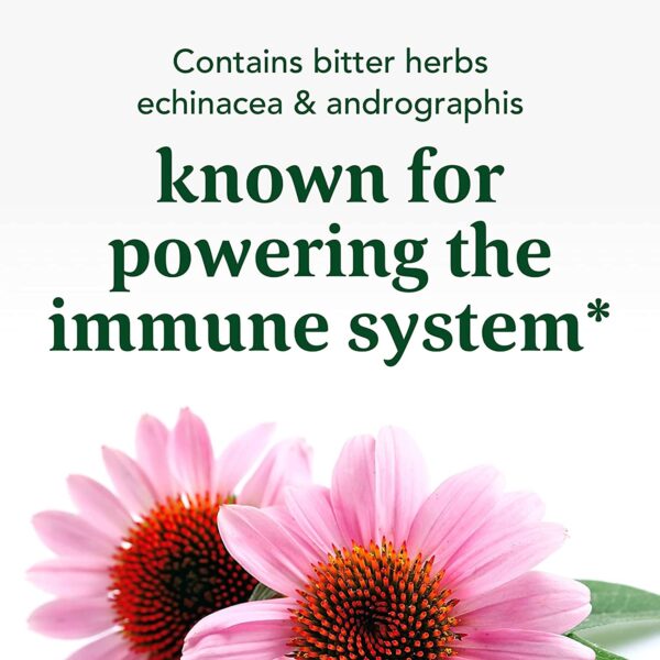 powering the immune system