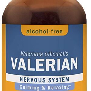 bottle of valerian root liquid extract for anxiety and relaxation