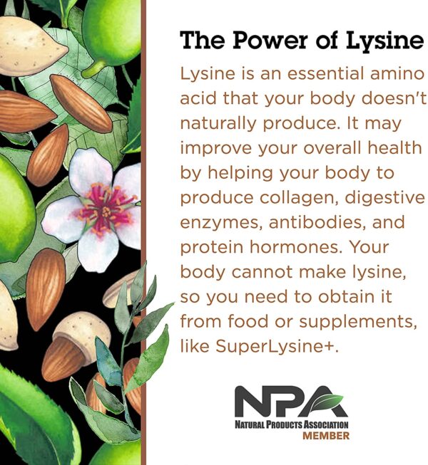 the power of lysine to boost immunity
