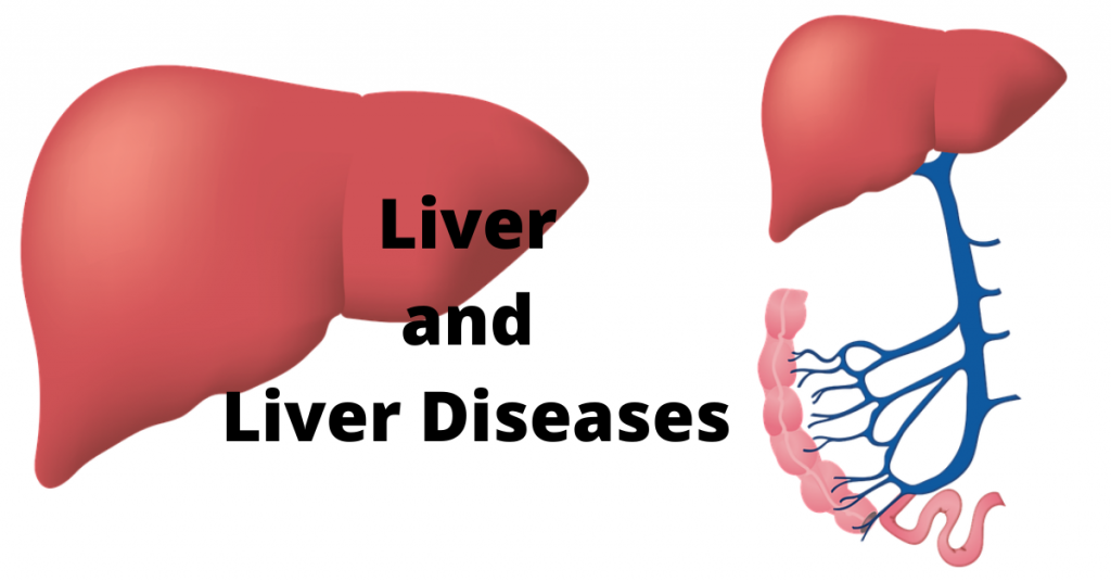 How to Protect your Liver from Alcohol abuse?