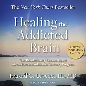 addiction recovery program healing the addicted brain