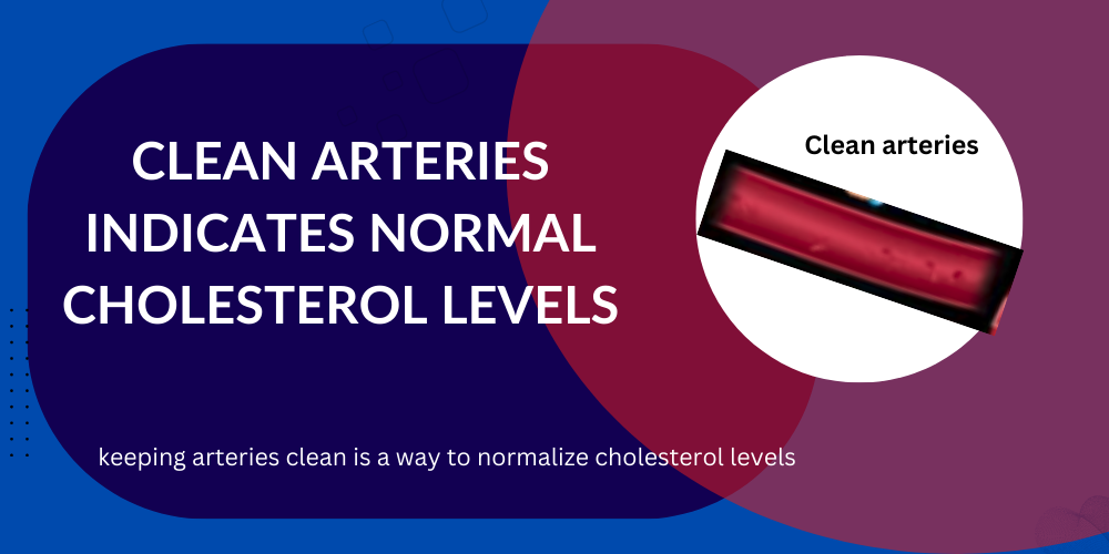 clean-arteries-indicates-normal-cholesterol-levels.png
