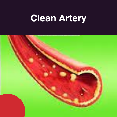 Amazing benefits of clean arteries healthy arteries for a healthier you.